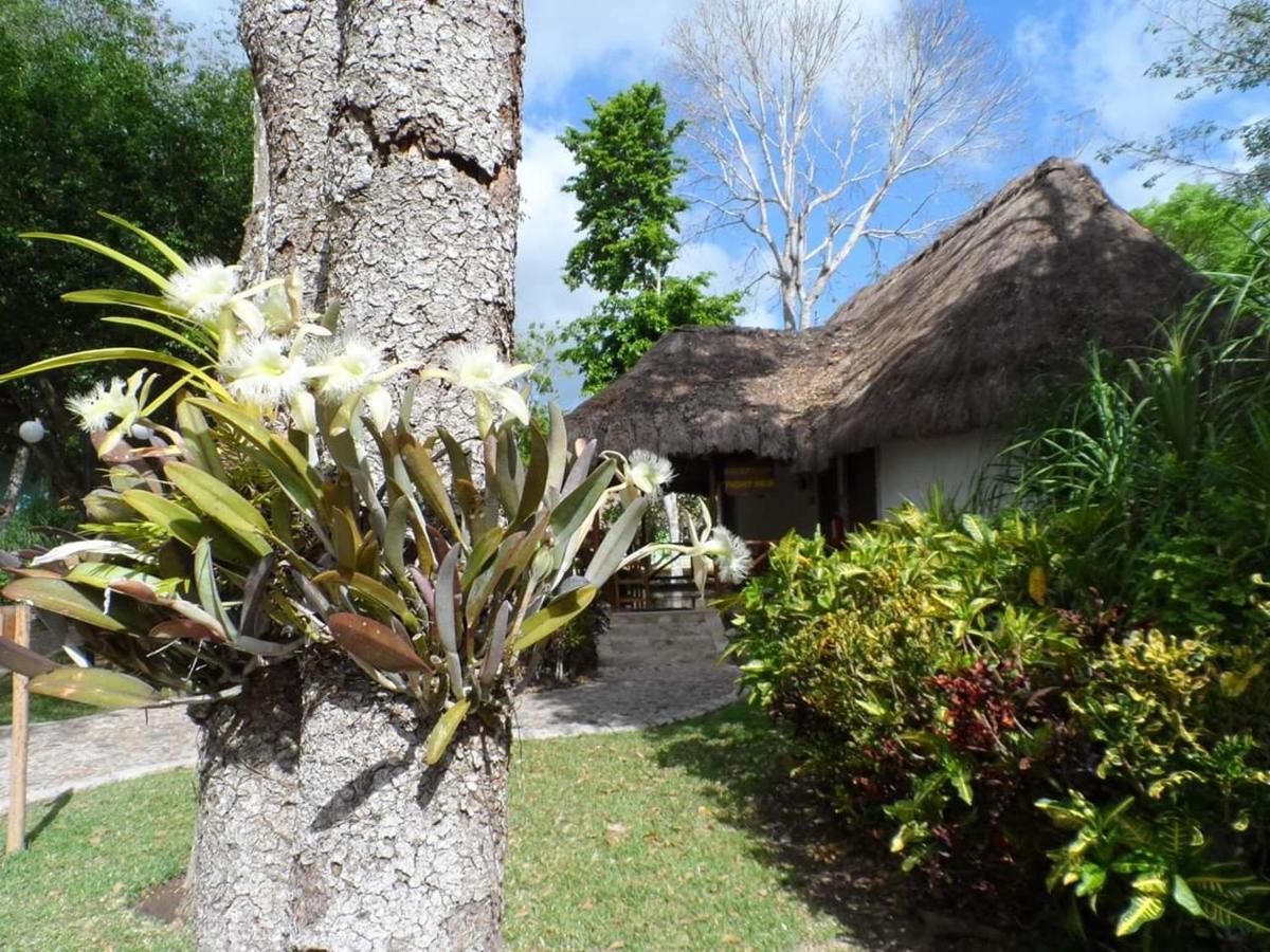 Hotel Villas Chicanna Bagian luar foto