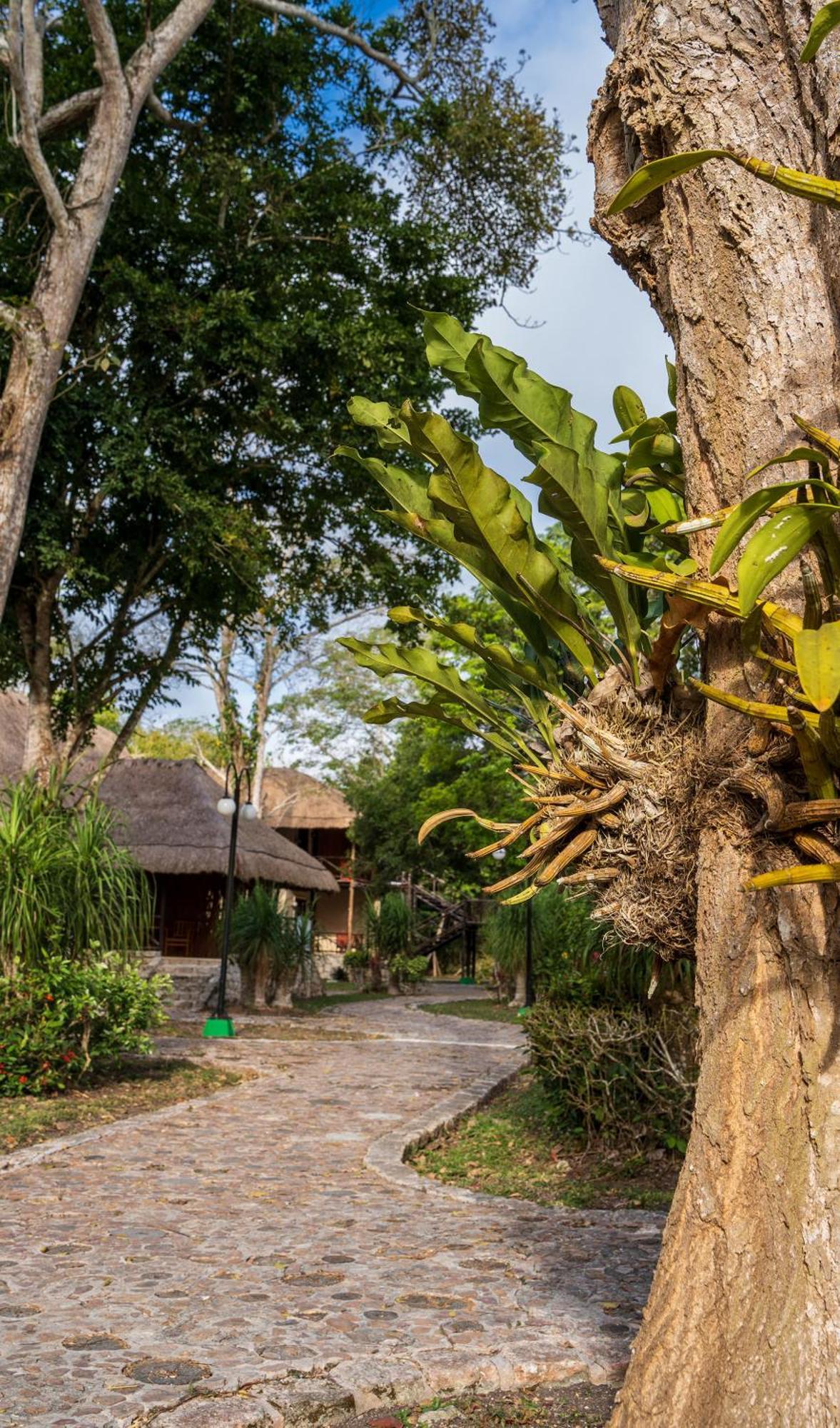 Hotel Villas Chicanna Bagian luar foto
